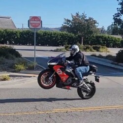 Wheelie University June 2022 1